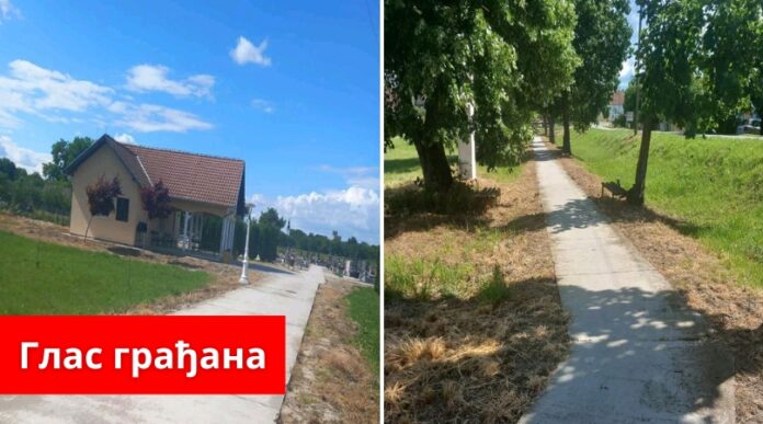 glas bođani