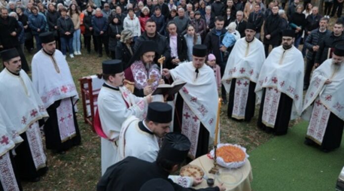 vajska vladika Damskin