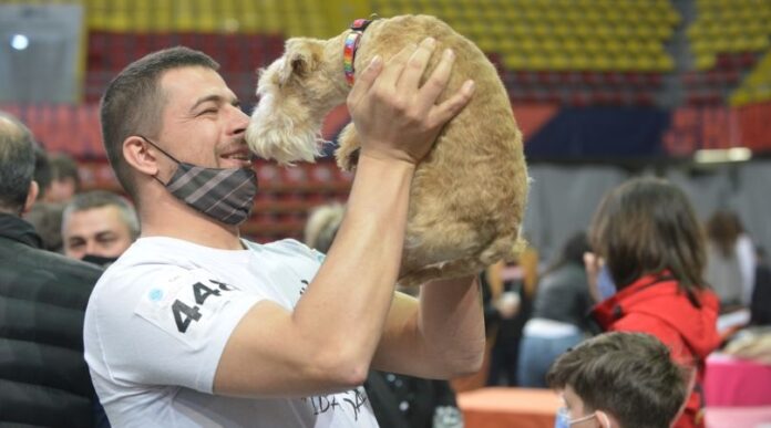 Goran Karanovic, ideal dale, psi, trener pasa Goran Karanovic, ideal dale, psi, trener pasa