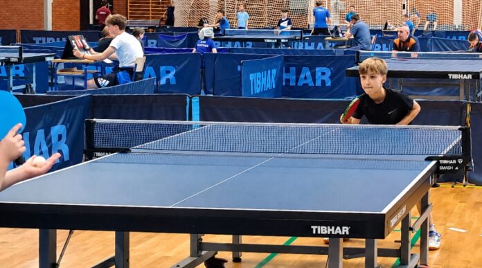Selenča Stoni Tenis