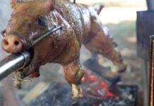 Прасеће печење све скупље, обори све празнији Praseće pečenje, ražanj
